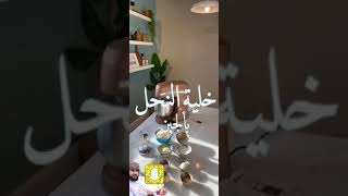 خلية النحل بالجبن