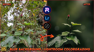Blur Image Background | Mobile Photo Editing Tutorial | Lightroom Color Grading | PhotoRoom Editing