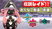 ポケモン剣盾 伝説レイド色違い厳選 カプ コケコ色違い厳選 冠の雪原 Youtube