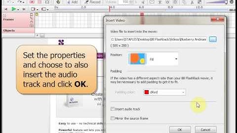 BB FlashBack User Guide: Inserting a Video File