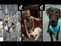 Try not to cry Tik Tok Pet Compilation