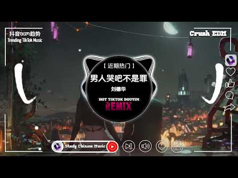 刘德华 - 男人哭吧不是罪 (抖音DJ版) Khi Người Đàn Ông Khóc (Remix)- Lưu Đức Hoa『在我年少的时候，身边的人说不可以流泪，在我成熟了以后』最火BGM抖音
