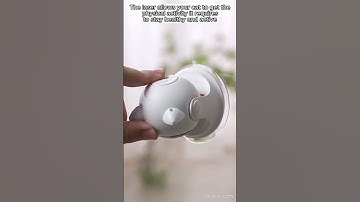 Entertain Your Cat with the Automatic Cat Laser Toy: Endless Fun Guaranteed!