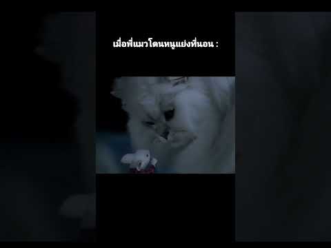#มีมไทย #ตลก #shorts
