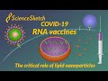 COVID-19 RNA vaccines and the critical role of lipid nanoparticles
