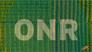 ONR and Tomatoes – A Nuclear Safety Elegy