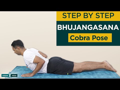 Bhujangasana (Cobra Pose) Yoga & Benefitsv | Cobra pose yoga, Cobra pose,  Yoga benefits