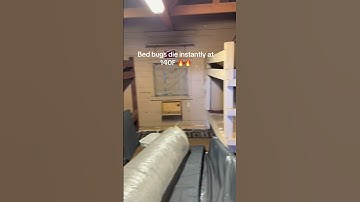 Beautiful day to kill some bed bugs #bedbug #bedbugremoval #bedbugs #insectcontrol #nopest