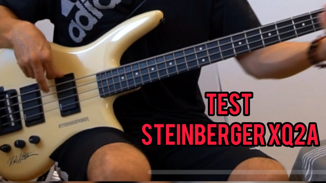 Steinberger XQ-25 1991 PLEK済み Steinberger XQ-25 1991 PLEK済み