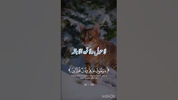 #قران#قران كريم#روبلوكس #roblox #ببجي #لايك