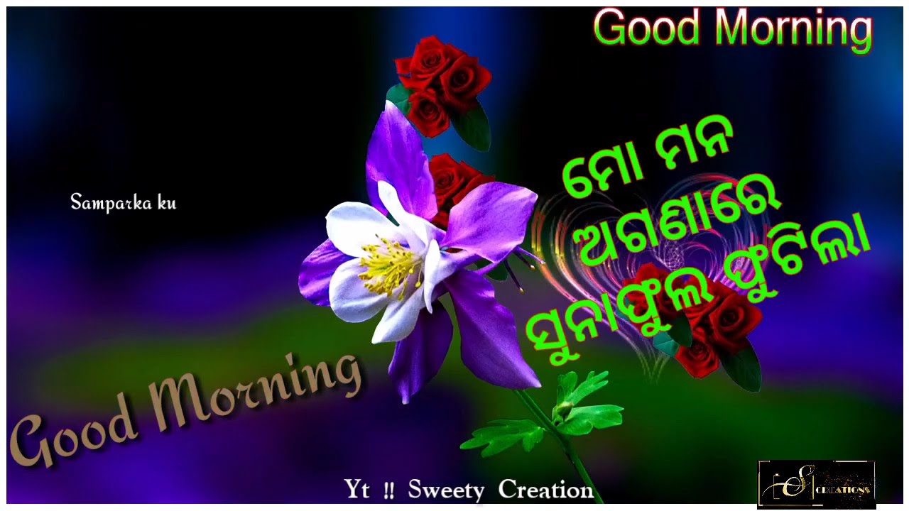 Odia Good Morning Status //Odia Song Good Morning Status Video //Good Morning Status YouTube