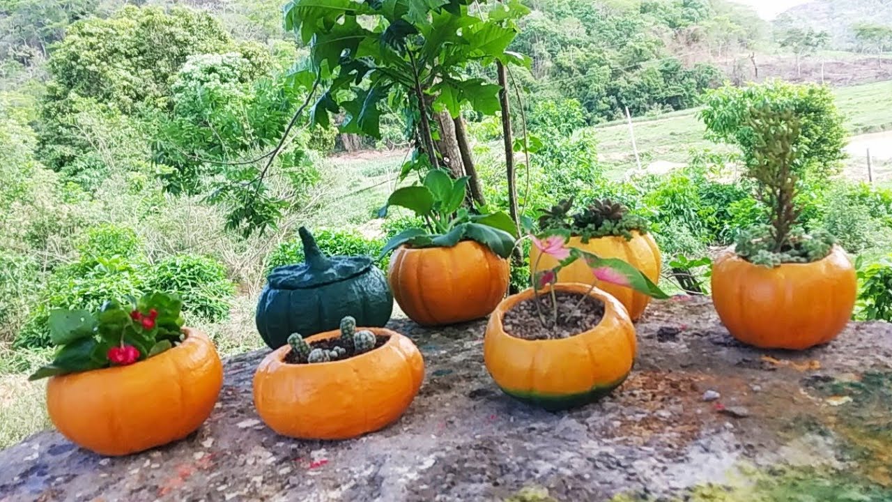 Aprenda A Fazer Lindos Vasos Abóboras Do Geito Mais Fácil Que Existe