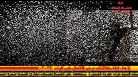 القارئ الشيخ عمرو السعيد