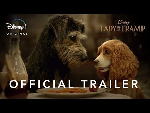 lady-and-the-tramp-|-official-trailer-|-disney+-|-streaming-from-19-november