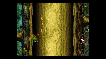 Donkey Kong Country 3 - Krematoa - Swoopy-Doopie