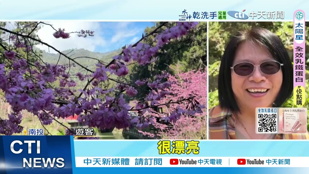 【每日必看】武陵春櫻