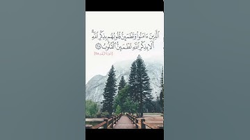 سورة الرعد (آية 28)