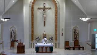 Daily Mass and Adoration
