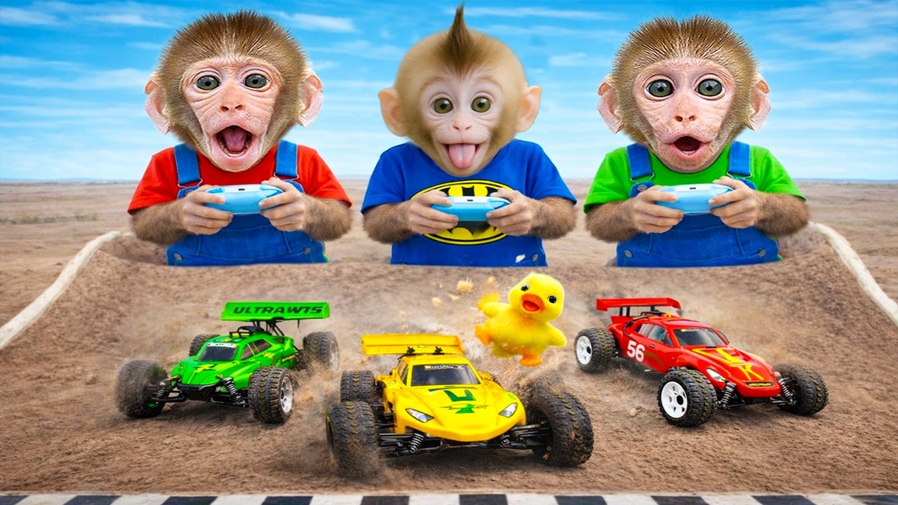 Monkey Bon Bon drives a tractor carrying colorful ducklings and gets chased by a police officer 🚜🦆🚓