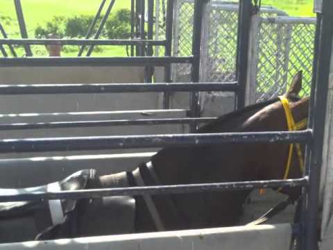 Racing Term #127 "Gate Schooling" of Frankie Lovato's 365 Days of Terminology