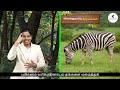 EVS_4 | Tamil | Senses and Adaptations in animals Part 6 | Lessons in Sign Language for H.I