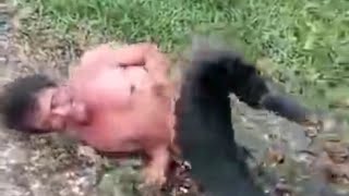 THE PANTHER ORIGINAL VIDEO