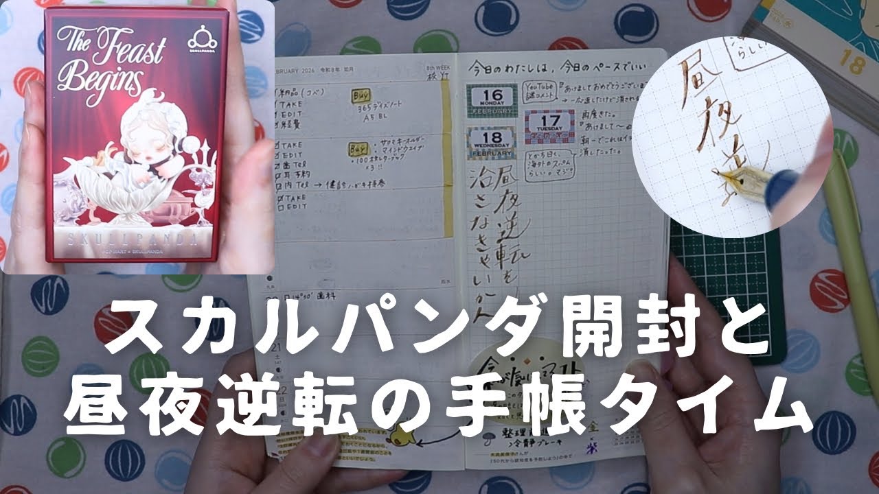 スカルパンダちゃん開封！ちゃんみなみたいな子が来た❤️｜のんびりいつもの手帳を書く【声あり手帳タイム】　＃782