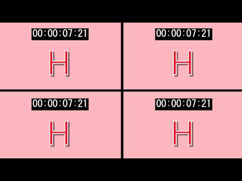 MotionMonkey Timing Controls 「00:00:00」の場合