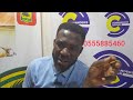 FEAR WOMAN: THIS WOMAN MARRIED 2 GUYS IN GHANA EII GHANA GIRLS WATCH FULL VIDEO