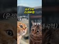 고양시 GTX 대곡역 주차장 요금 운정역 보다 2.5배 비싸