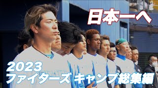 【涙が止まらない】ファイターズキャンプ総集編2023＜2/26ファイターズ春季キャンプ2023＞