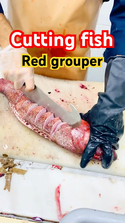 Cut the fish #feedshorts #food #viralvideo #subscribe #like #reels #cooking #lunch #fish #foryou