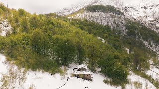 #110 Wood Wall paneling and April Storms