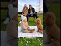 犬の鳴き声の真似をする赤ちゃんと鳴き声を返す犬👶🐶　#baby #dog #cute #funny #love #shorts #shortvideo #赤ちゃん #トイプードル#犬