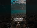 (قل لو كان البحر مدادا لكلمات ربي)القارئ إسلام صبحي حالات واتساب قرآن كريم مقاطع انستغرام 🎧💚