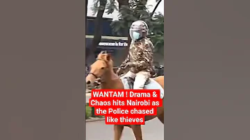 WANTAM Drama Chaos Hits Nairobi As The Police Chased Like Thieves 