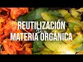 REUTILIZACIÓN DE LA MATERIA ORGÁNICA | Jairo Restrepo Rivera