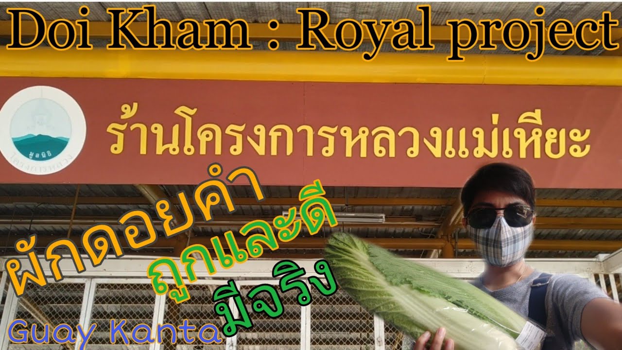 EP:79 ผักโครงการหลวง ดอยคำ เชียงใหม่(ของถูกและดีมีอยู่จริง) Doi Kham Royal project /Guay Kanta