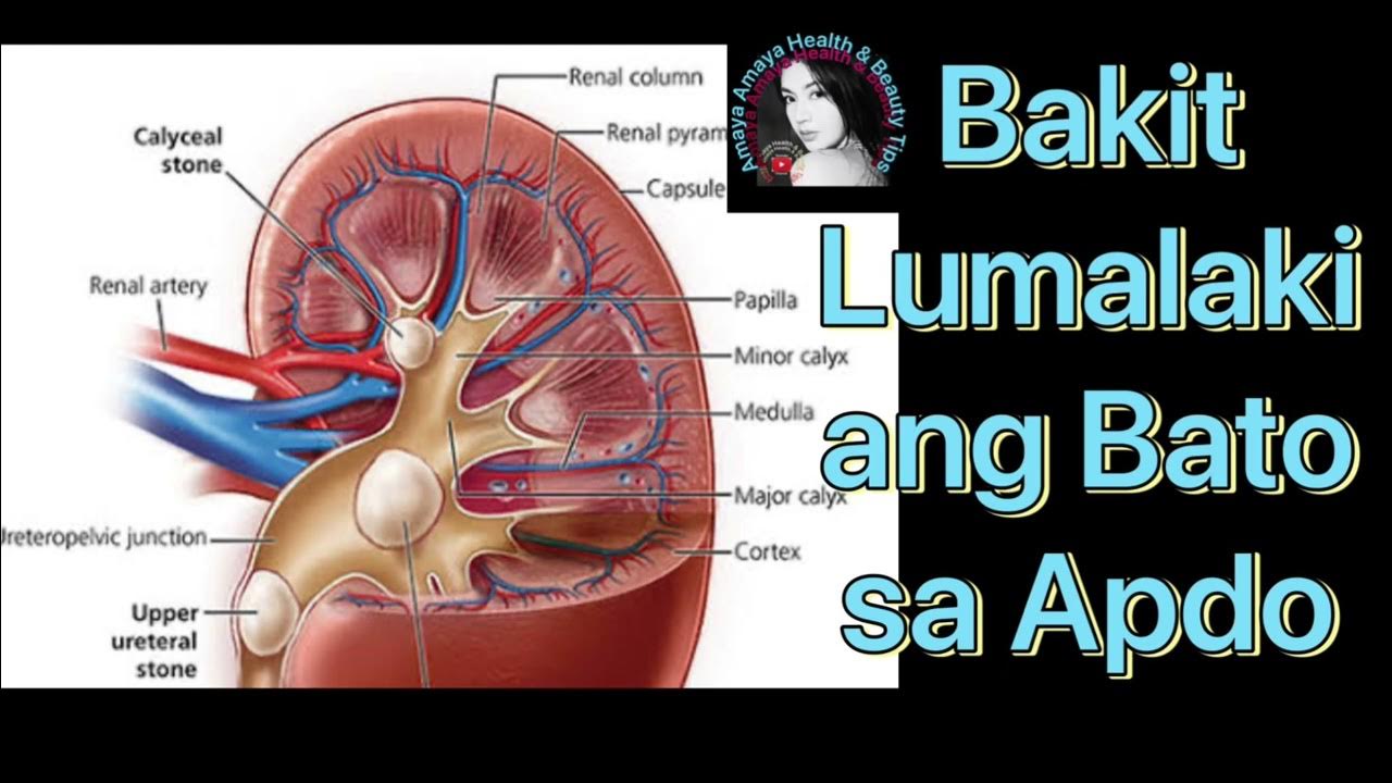 What Does Hita Mean In English What Does Hita Mean In English