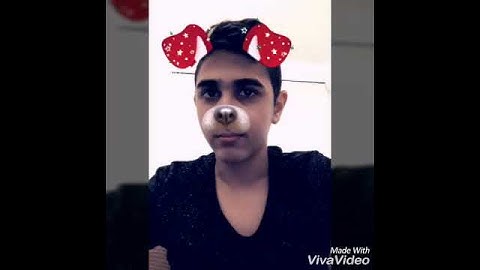 Hollnadia