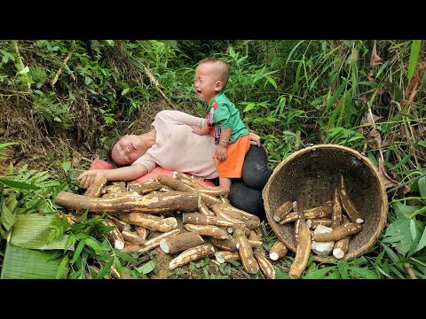 Single mother: harvesting cassava to sell at the market - washing clothes - bathing children