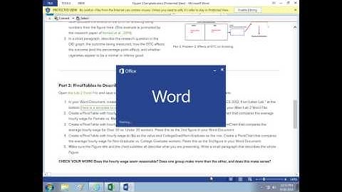 PivotTables and PivotCharts in Excel for Lab 2