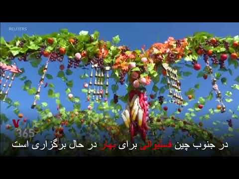 تصویری: چه گلهایی را در پاییز در کشور بکاریم؟ کدام ها برای گلدهی در بهار و تابستان کاشته می شوند؟ ویژگی های کاشت گل پاییزی در باغ