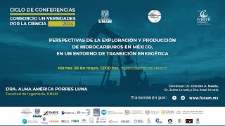 Perspectivas de la exploración y producción de hidrocarburos en México en un entorno de transición..