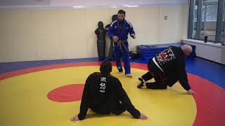 Jiui-jutsu bresilien Sweep