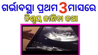 ଗର୍ଭାବସ୍ଥା ପ୍ରଥମ 3 ମାସ, ସାବଧାନ ରୁହନ୍ତୁ | First 3 months in pregnancy | Odia Pregnancy Tips