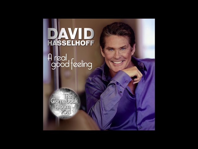 DAVID HASSELHOFF - LONELY DAYS AND LONELY NIGHTS