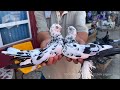 Птичий рынок г. Ташкент - ГОЛУБИ (07.08.2021) / Uzbek Pigeons