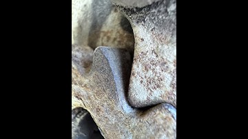 Knurl - Sterocytose (2025)