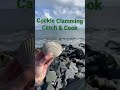 Cockle Clamming Pacific Ocean Washington State Clamming Season Catch And Cook Reel Funshorts Clam Cockle Clamming Pacific Ocean Washington State Clamming Season Catch And Cook Reel Funshorts Clam
